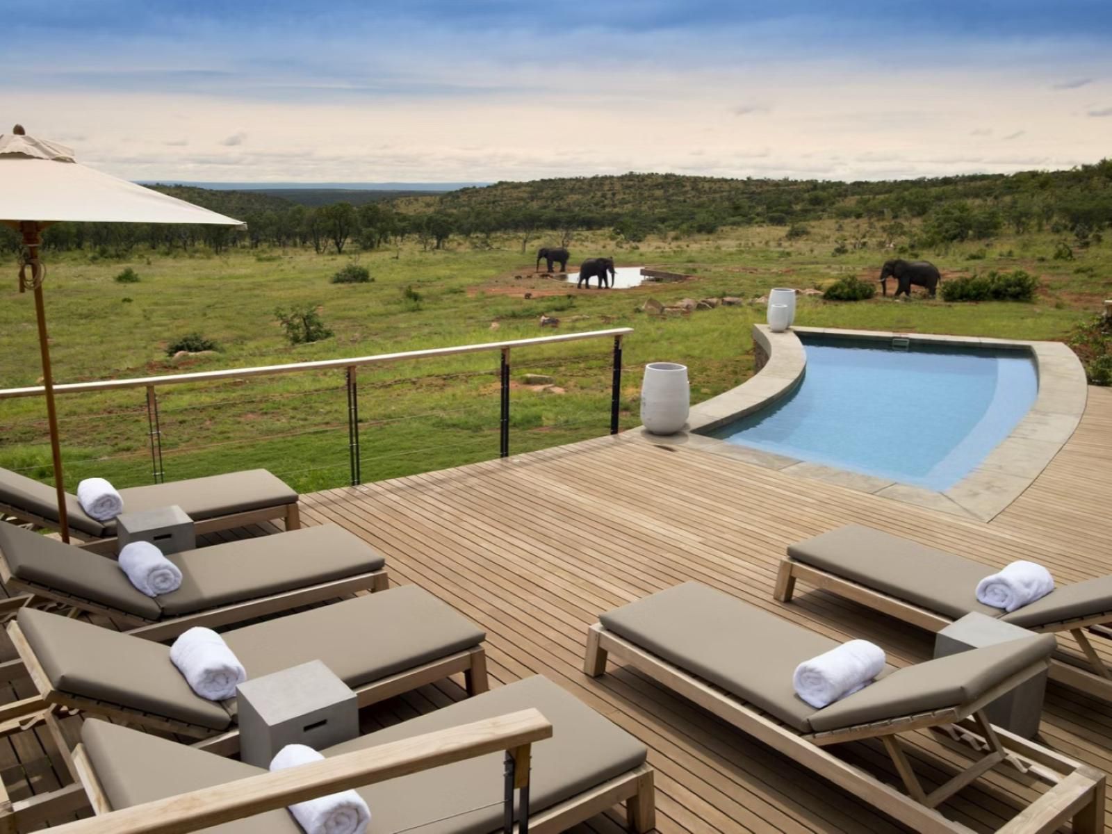 Mhondoro Safari Lodge & Villa, Swimming Pool