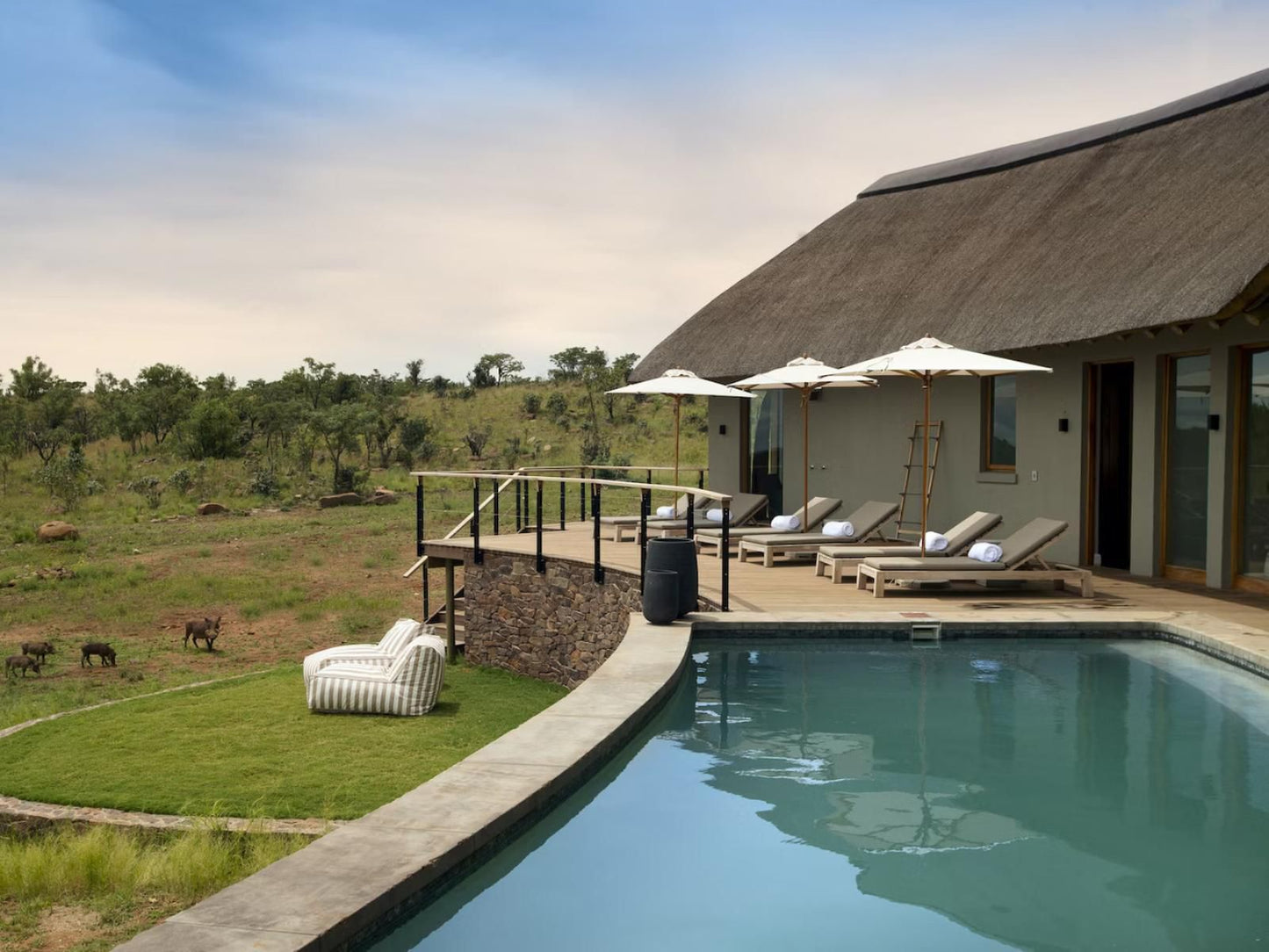 Mhondoro Safari Lodge & Villa, Swimming Pool