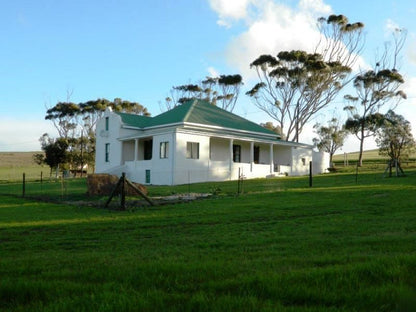 Middeldam Plaashuis Bredasdorp Western Cape South Africa Building, Architecture, House, Palm Tree, Plant, Nature, Wood