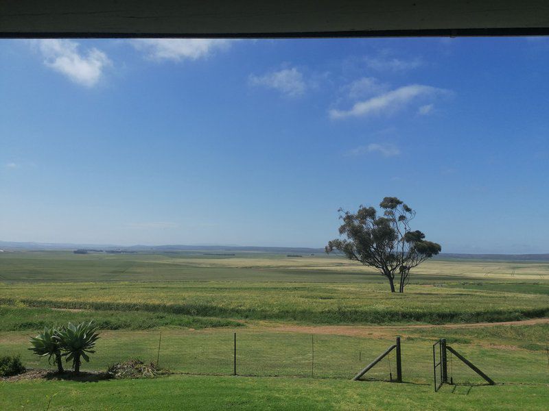 Middeldam Plaashuis Bredasdorp Western Cape South Africa Complementary Colors, Framing, Lowland, Nature