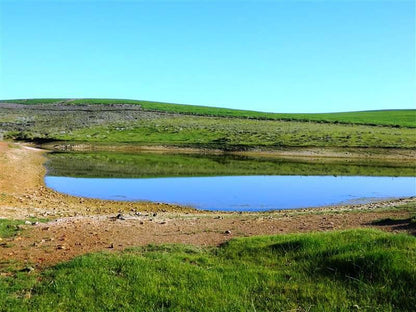 Middeldam Plaashuis Bredasdorp Western Cape South Africa Complementary Colors, Colorful, Highland, Nature