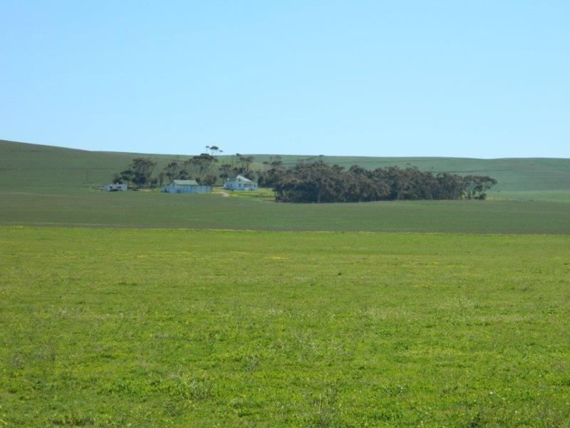 Middeldam Plaashuis Bredasdorp Western Cape South Africa Complementary Colors, Field, Nature, Agriculture, Lowland