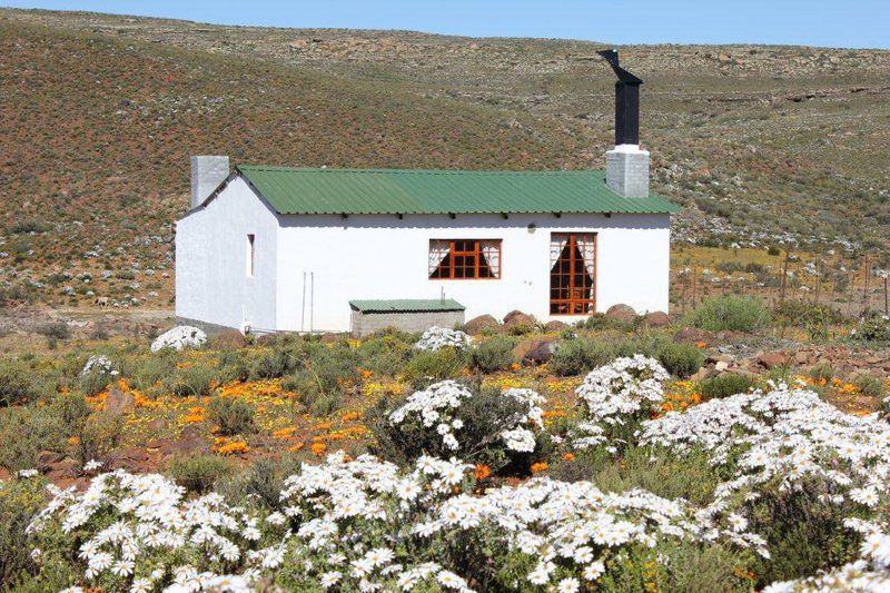 Middelfontein Farm Sutherland Northern Cape South Africa Building, Architecture, Cactus, Plant, Nature