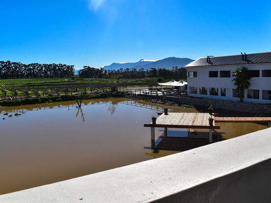 Middelplaas Paarl Guesthouse Paarl Western Cape South Africa Boat, Vehicle, Lake, Nature, Waters, River