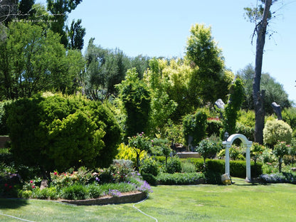 Mieliefontein Karoo Guest Farm, Plant, Nature, Garden