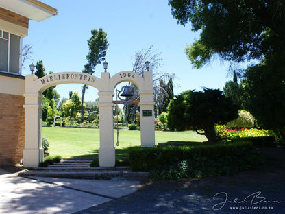 Mieliefontein Karoo Guest Farm, Palm Tree, Plant, Nature, Wood