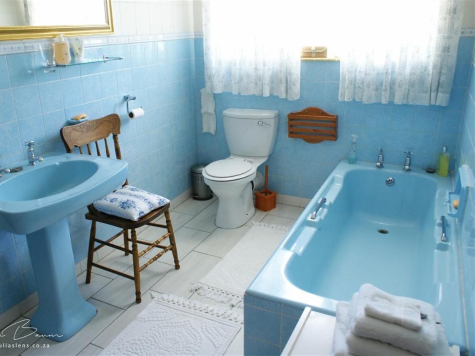 Mieliefontein Karoo Guest Farm, House twin bed not en suite, Bathroom