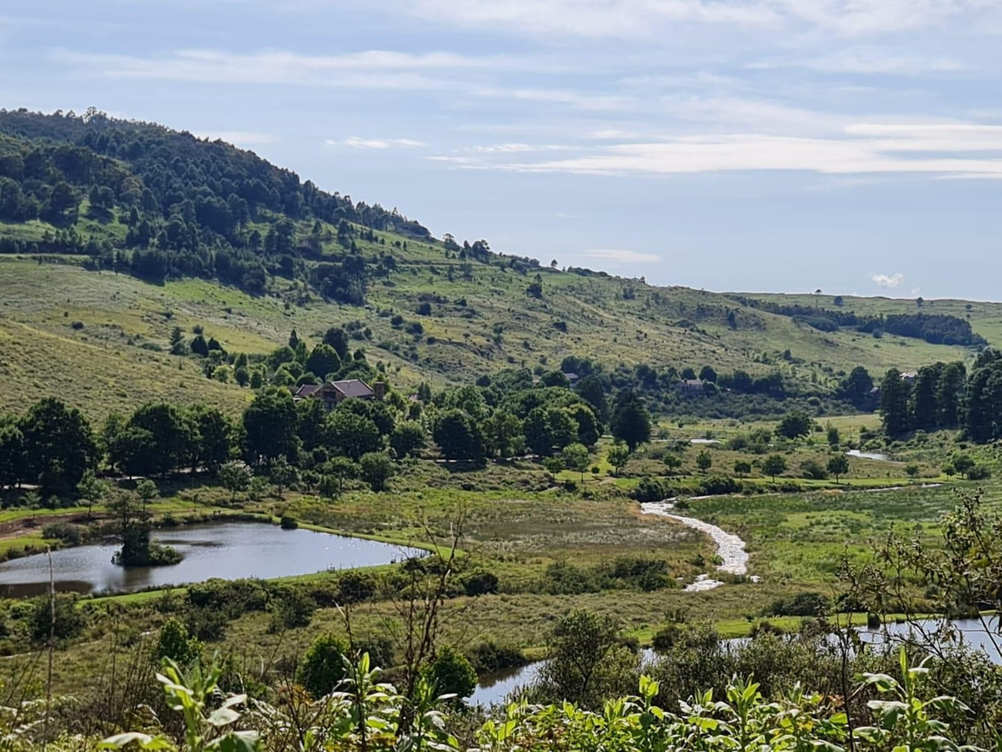 Migrate Portfolio Dullstroom Mpumalanga South Africa Complementary Colors, Highland, Nature