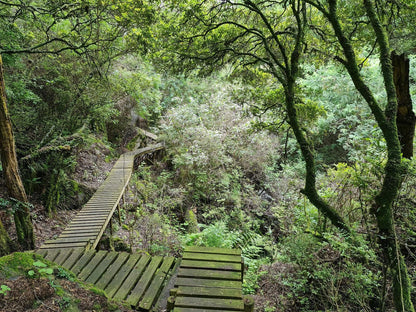 Migrate Portfolio Dullstroom Mpumalanga South Africa Bridge, Architecture, Forest, Nature, Plant, Tree, Wood, Garden, Highland