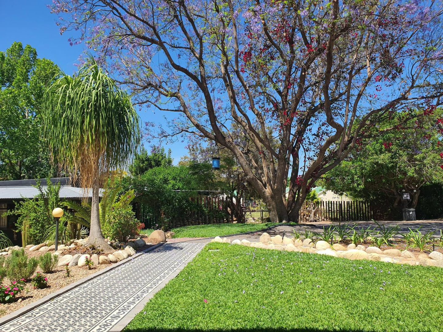 Miles B&B Guesthouse, Double En-suite, Palm Tree, Plant, Nature, Wood, Garden