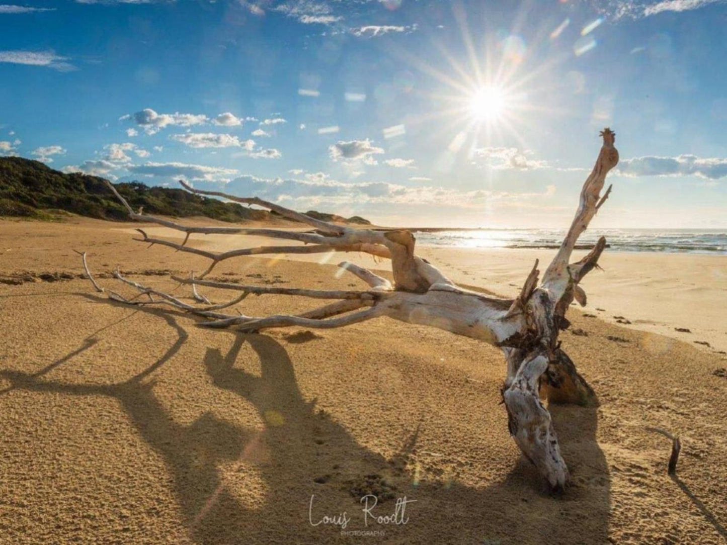 Milkwood Bend Farm Resort Chintsa West Chintsa Eastern Cape South Africa Complementary Colors, Beach, Nature, Sand