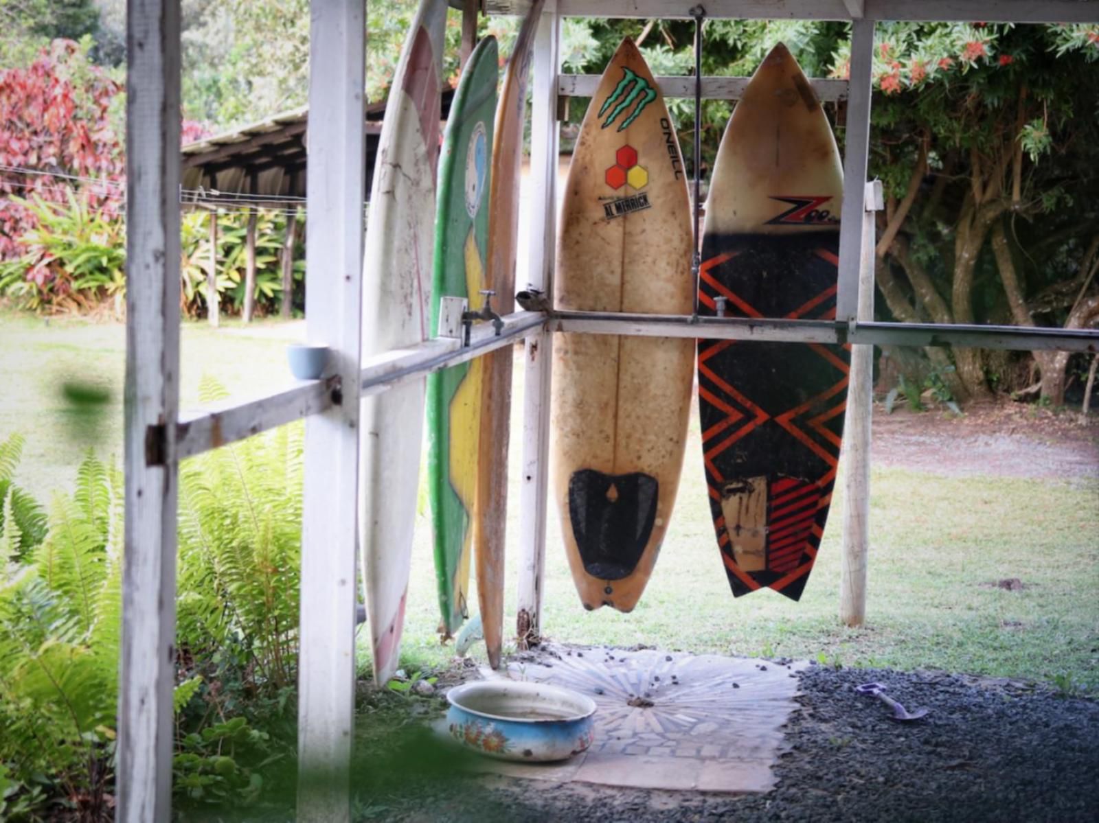 Milkwood Bend Farm Resort Chintsa West Chintsa Eastern Cape South Africa Surfboard, Water Sport