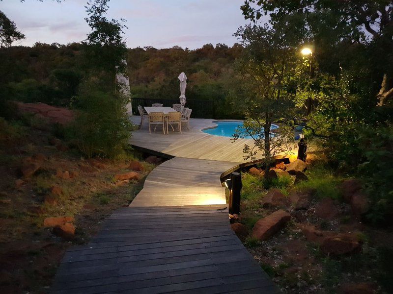 Milkwood Safari Lodge Mabalingwe Mabalingwe Nature Reserve Bela Bela Warmbaths Limpopo Province South Africa Garden, Nature, Plant