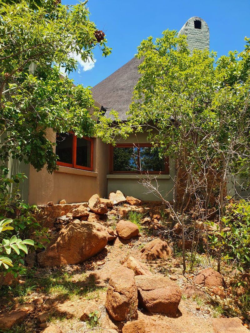 Milkwood Safari Lodge Mabalingwe Mabalingwe Nature Reserve Bela Bela Warmbaths Limpopo Province South Africa Colorful