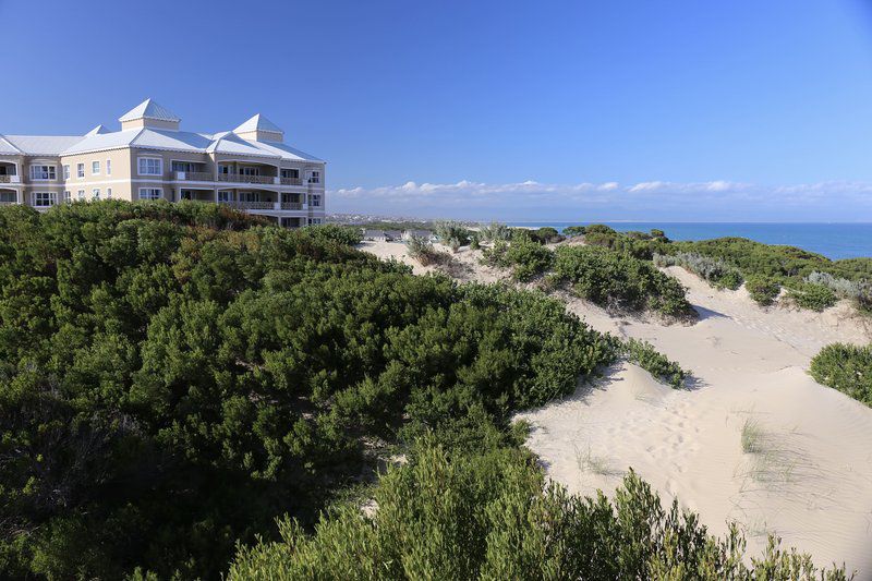 Milkwood 314 Marina Martinique Jeffreys Bay Eastern Cape South Africa Complementary Colors, Beach, Nature, Sand