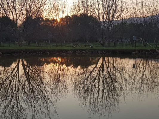 Millstream Inn Skeerpoort Hartbeespoort North West Province South Africa River, Nature, Waters, Sunset, Sky