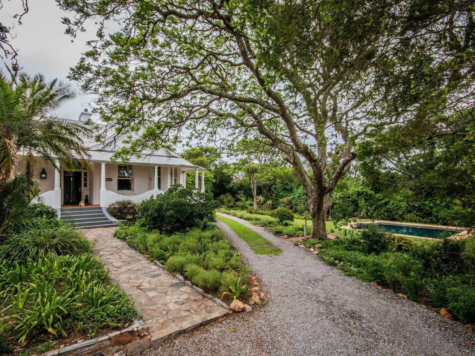 Mimosa Grahamstown Eastern Cape South Africa House, Building, Architecture, Palm Tree, Plant, Nature, Wood, Pavilion, Garden