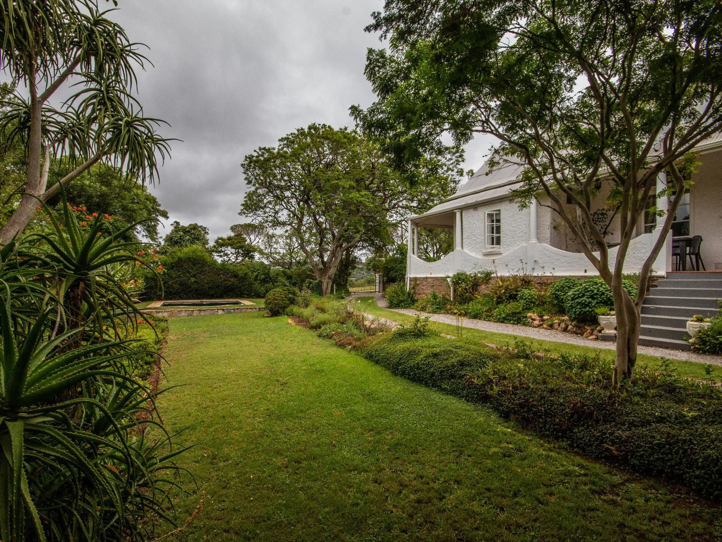 Mimosa Grahamstown Eastern Cape South Africa House, Building, Architecture, Palm Tree, Plant, Nature, Wood, Garden