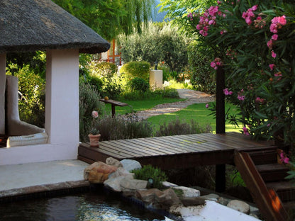 Mimosa Lodge Montagu Western Cape South Africa Plant, Nature, Garden, Swimming Pool