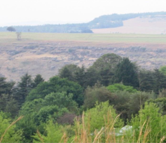 Misamba Bed And Breakfast Maclear Eastern Cape South Africa Field, Nature, Agriculture, Tree, Plant, Wood