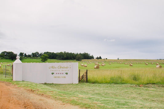 Miss Chrissie S Country House Chrissiesmeer Mpumalanga South Africa Field, Nature, Agriculture, Lowland