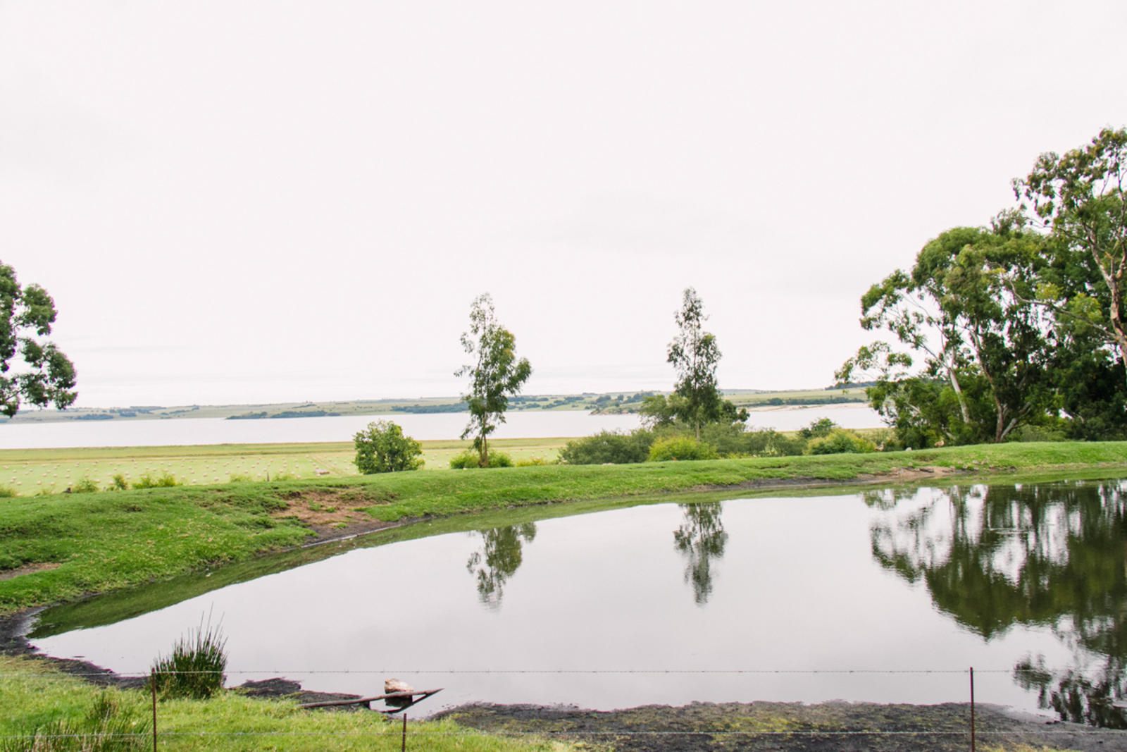 Miss Chrissie S Country House Chrissiesmeer Mpumalanga South Africa Lake, Nature, Waters, River