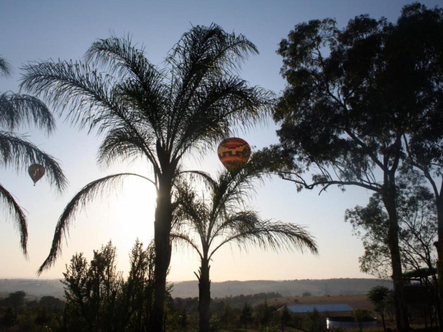 Misty Morn Cottages Muldersdrift Gauteng South Africa Aircraft, Vehicle, Hot Air Balloon, Palm Tree, Plant, Nature, Wood, Sky