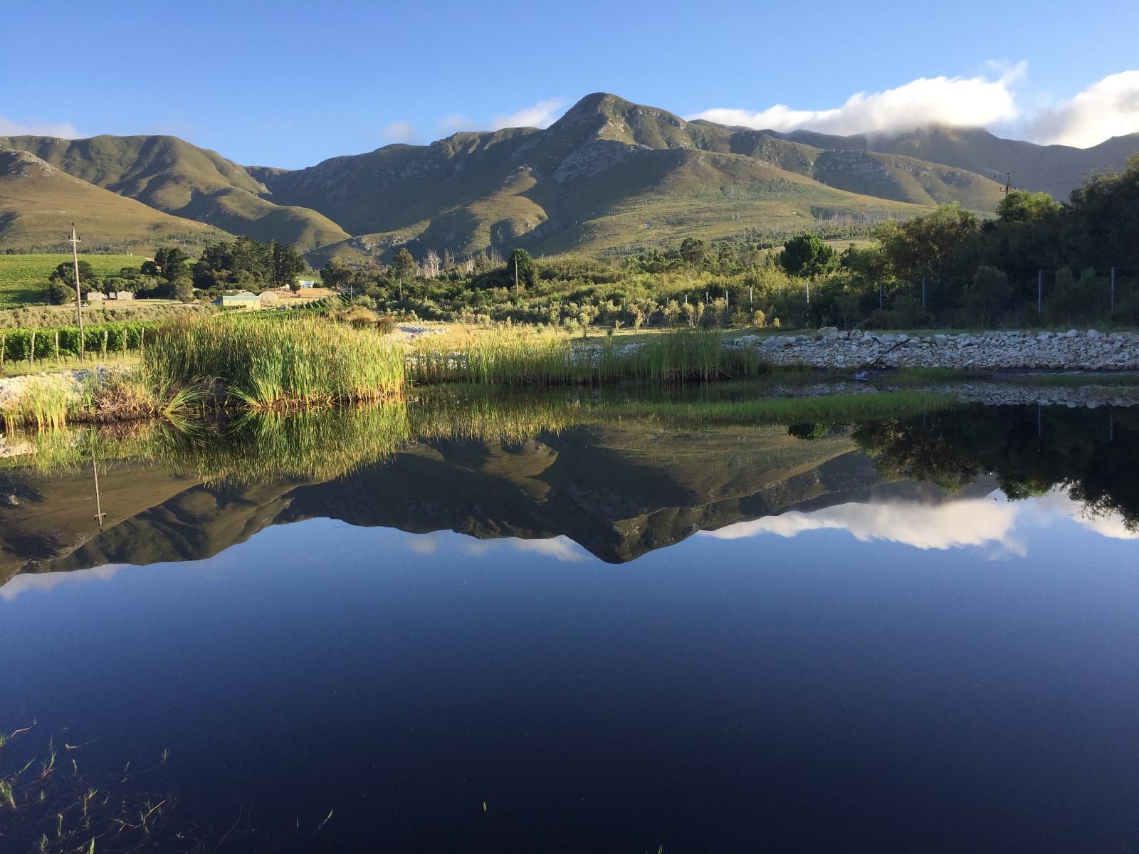 Misty Mountains Stanford Western Cape South Africa Mountain, Nature, Highland