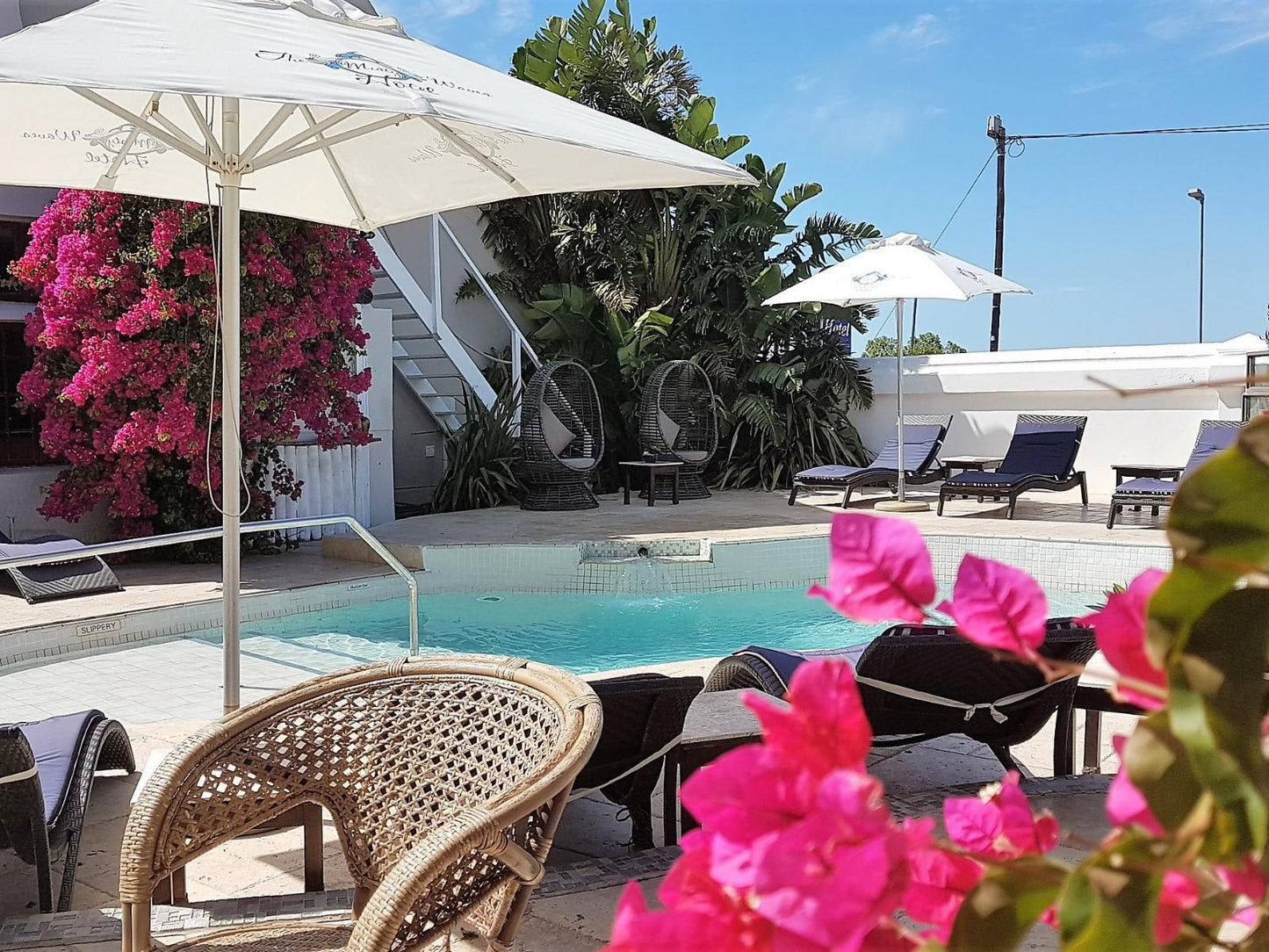 Misty Waves Boutique Hotel Hermanus Western Cape South Africa Beach, Nature, Sand, Palm Tree, Plant, Wood, Swimming Pool