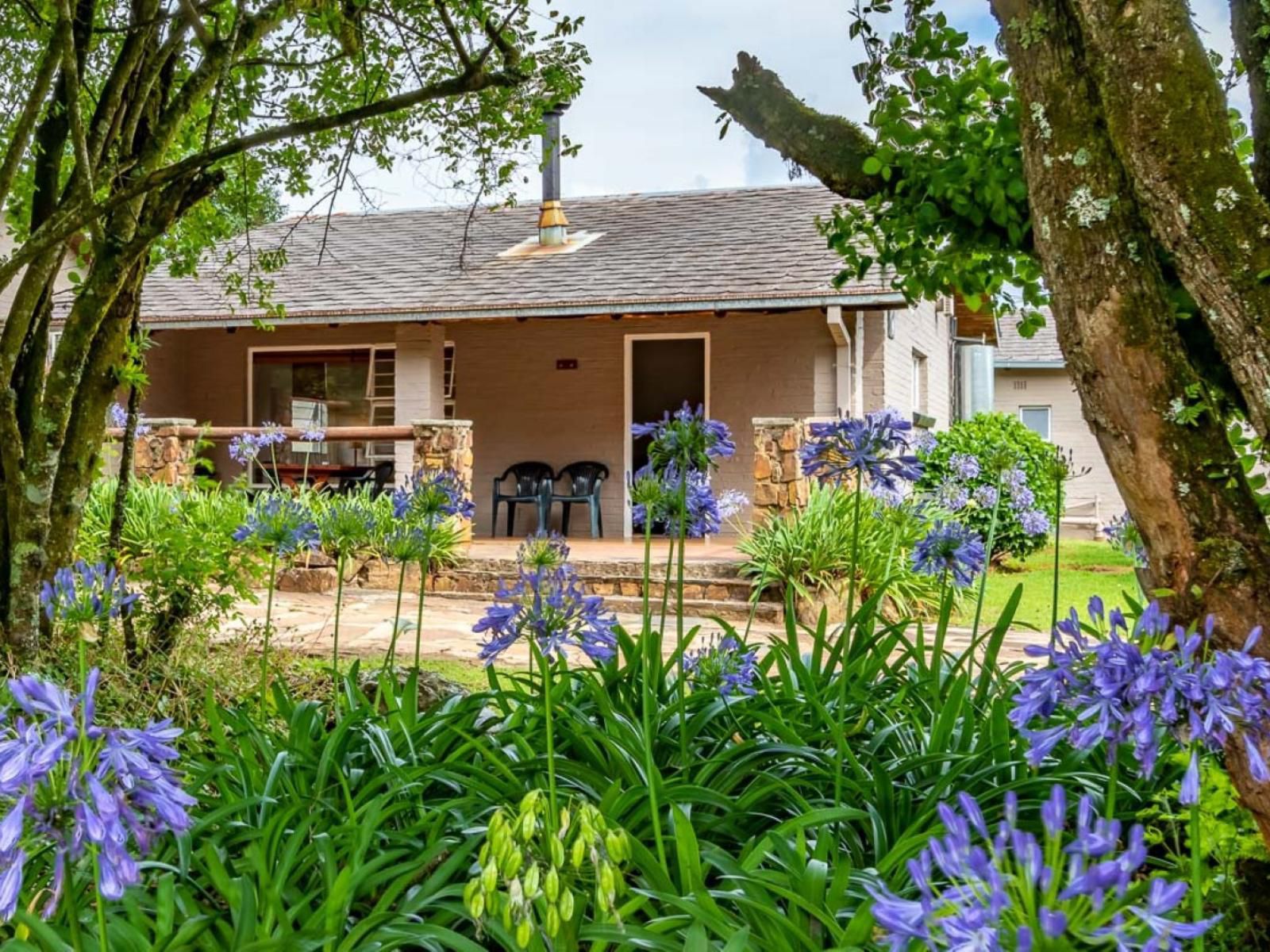 Misty Mountain Sabie Mpumalanga South Africa House, Building, Architecture, Plant, Nature, Garden