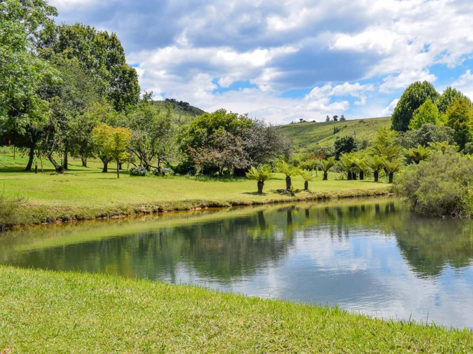 Misty Mountain Sabie Mpumalanga South Africa Complementary Colors, River, Nature, Waters