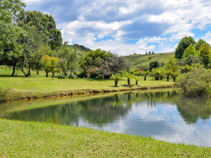 Misty Mountain Sabie Mpumalanga South Africa Complementary Colors, River, Nature, Waters