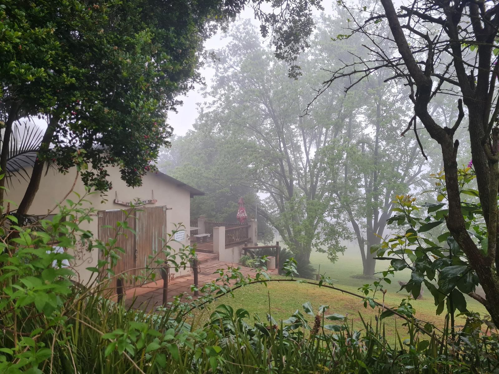 La Luna Misty Mountains Guesthouse Makhado Louis Trichardt Limpopo Province South Africa Fog, Nature, Tree, Plant, Wood, Garden