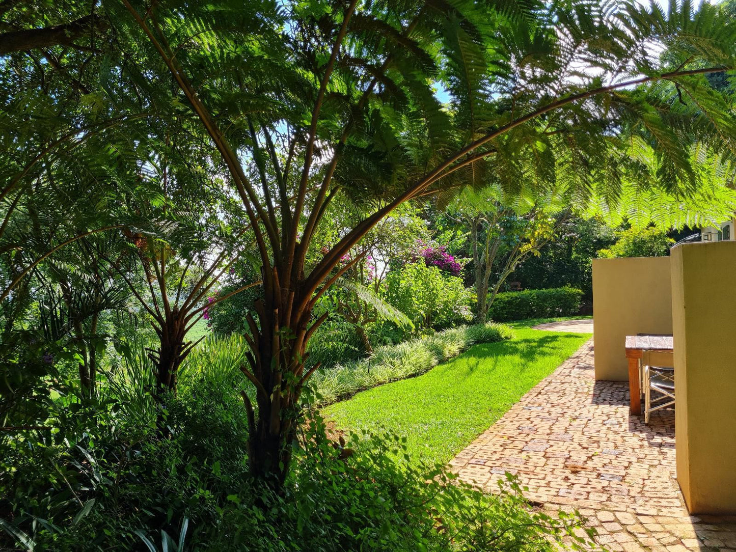 La Luna Misty Mountains Guesthouse Makhado Louis Trichardt Limpopo Province South Africa Palm Tree, Plant, Nature, Wood, Garden