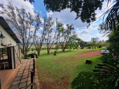 La Luna Misty Mountains Guesthouse Makhado Louis Trichardt Limpopo Province South Africa Complementary Colors, Palm Tree, Plant, Nature, Wood