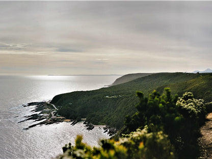 Misty Mountain Reserve Stormsriver Village Eastern Cape South Africa Beach, Nature, Sand, Cliff