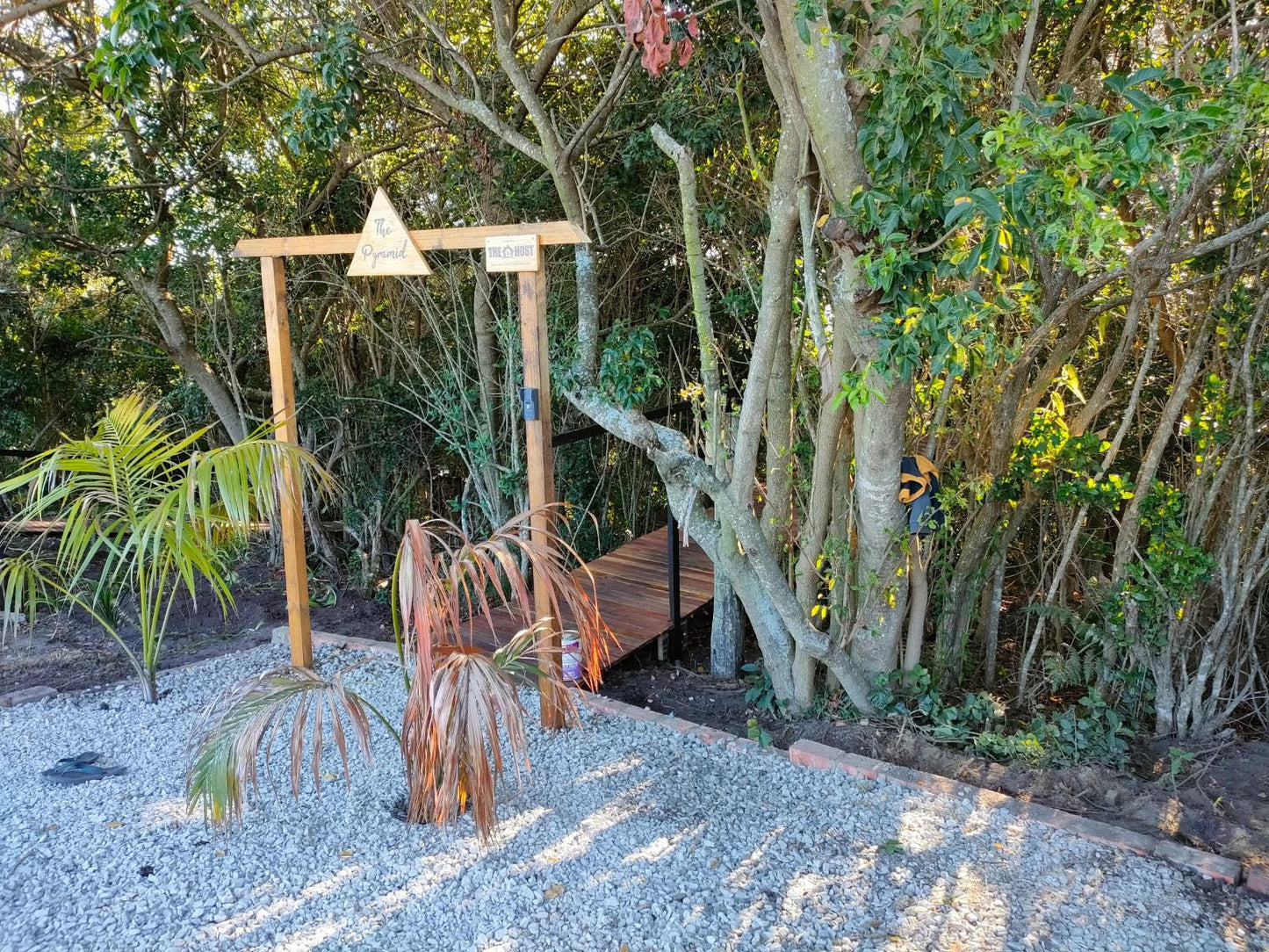 Misty Mountain Reserve Stormsriver Village Eastern Cape South Africa Palm Tree, Plant, Nature, Wood, Garden