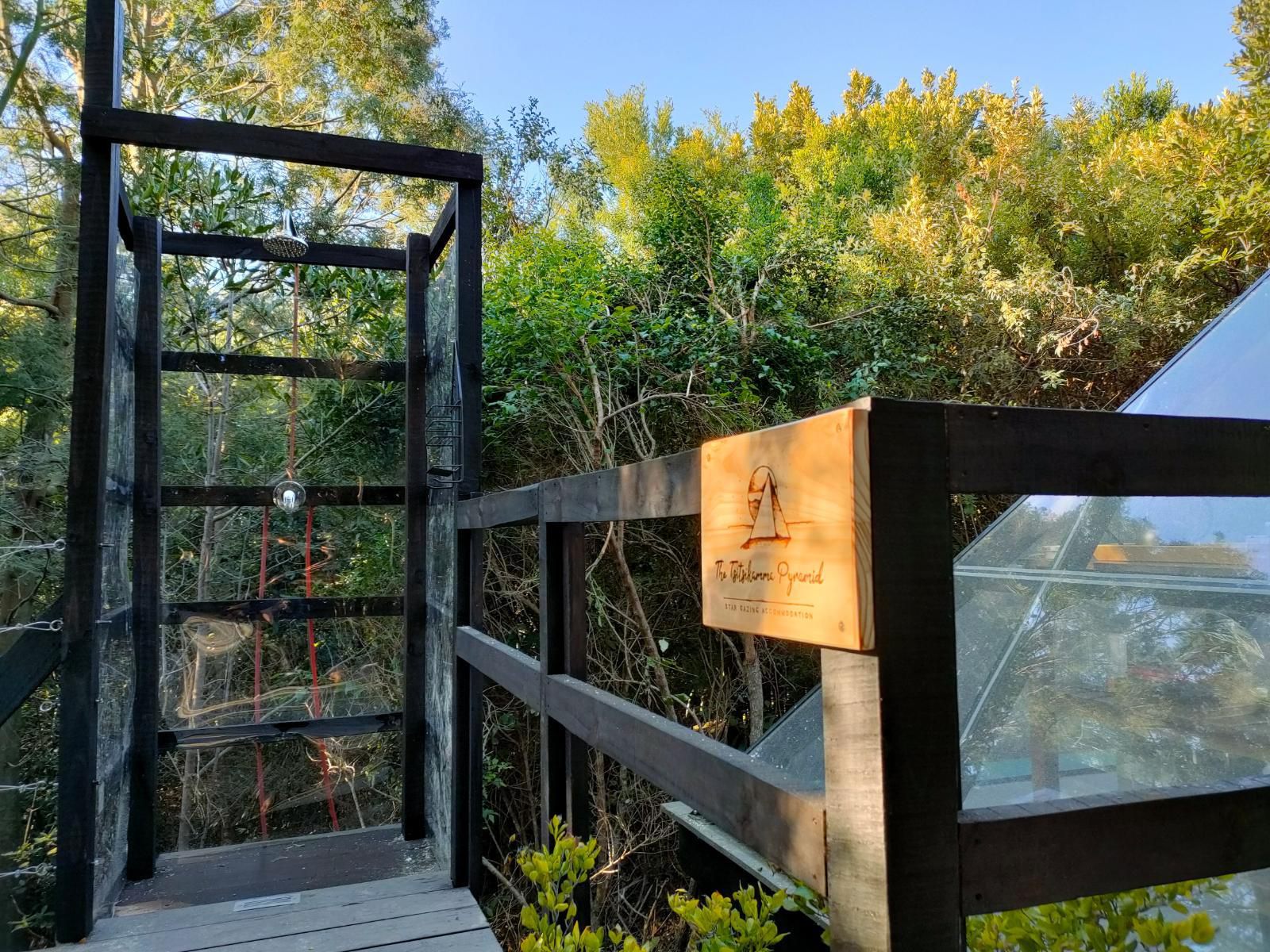 Misty Mountain Reserve Stormsriver Village Eastern Cape South Africa Bridge, Architecture, Plant, Nature, Tree, Wood, Autumn