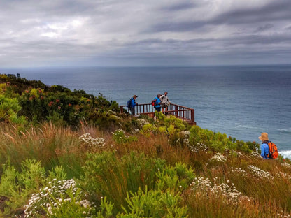 Misty Mountain Reserve Stormsriver Village Eastern Cape South Africa Beach, Nature, Sand, Cliff