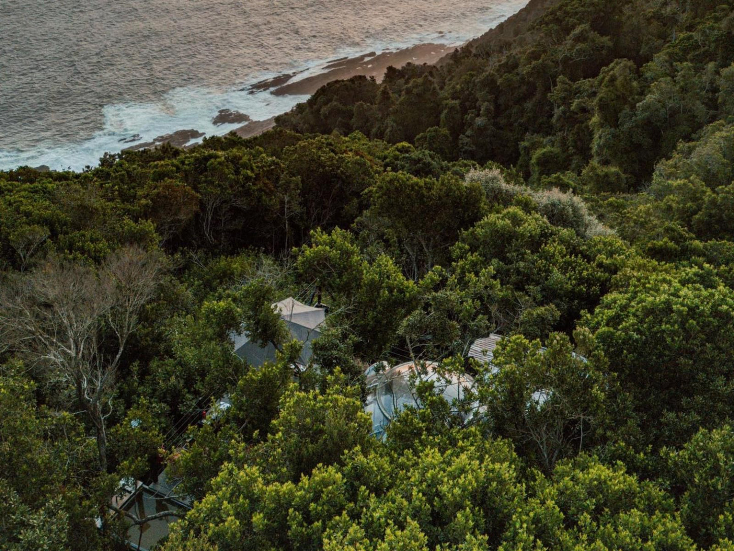 Misty Mountain Reserve Stormsriver Village Eastern Cape South Africa Tree, Plant, Nature, Wood, Aerial Photography