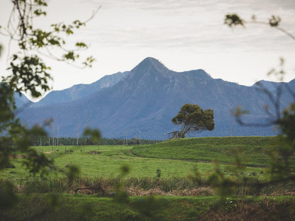 Misty Mountain Reserve Stormsriver Village Eastern Cape South Africa Mountain, Nature, Highland