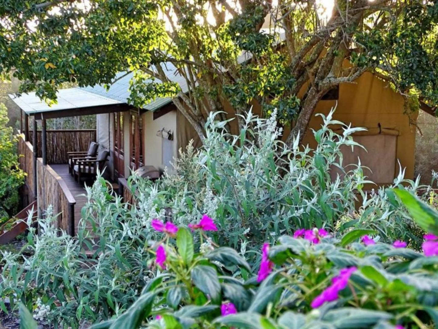 Misty Mountain Reserve Stormsriver Village Eastern Cape South Africa House, Building, Architecture, Plant, Nature, Garden