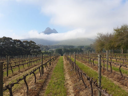 Mitre S Edge Wine Estate Klapmuts Western Cape South Africa Complementary Colors, Mountain, Nature