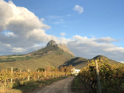 Mitre S Edge Wine Estate Klapmuts Western Cape South Africa Complementary Colors, Mountain, Nature, Highland