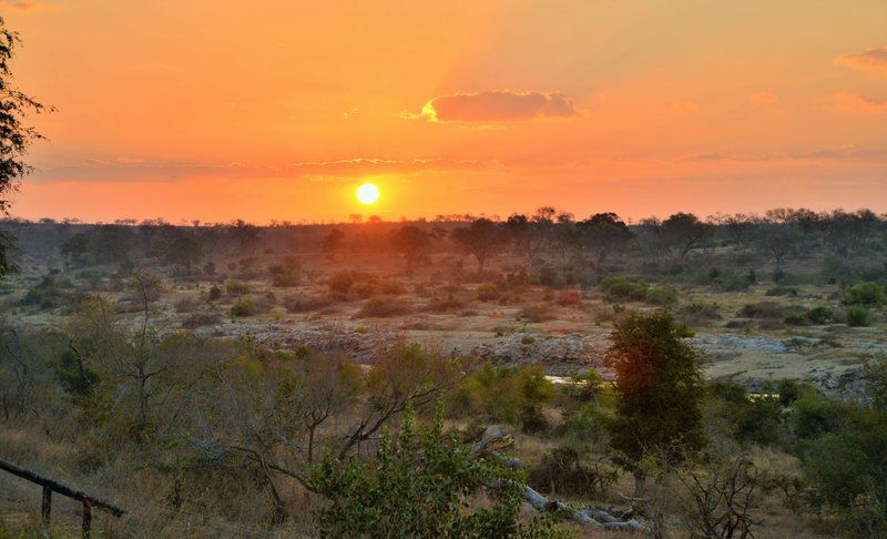 Mjejane Bush Camp By Dream Resorts Mjejane Private Game Reserve Mpumalanga South Africa Lowland, Nature, Sunset, Sky
