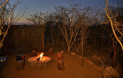 Mjejane Bush Camp By Dream Resorts Mjejane Private Game Reserve Mpumalanga South Africa Nature