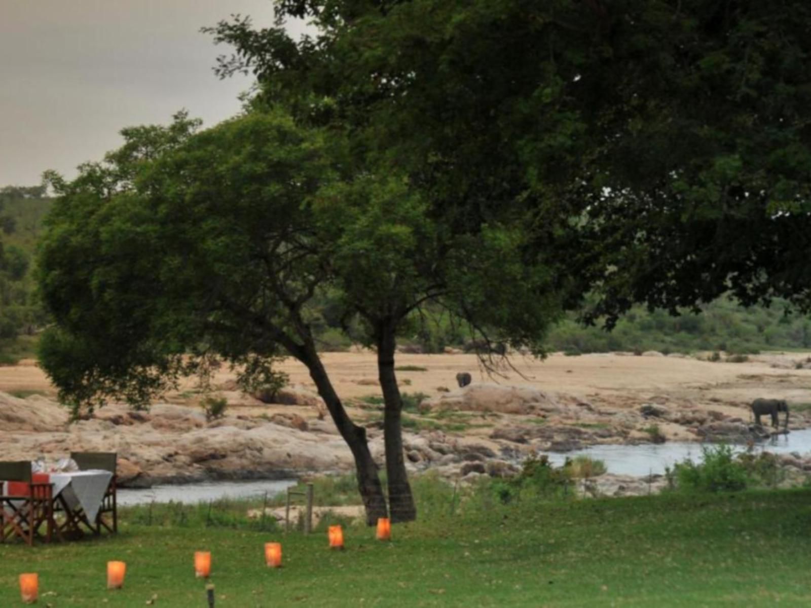 Mjejane River Lodge Mjejane Private Game Reserve Mpumalanga South Africa River, Nature, Waters, Tree, Plant, Wood