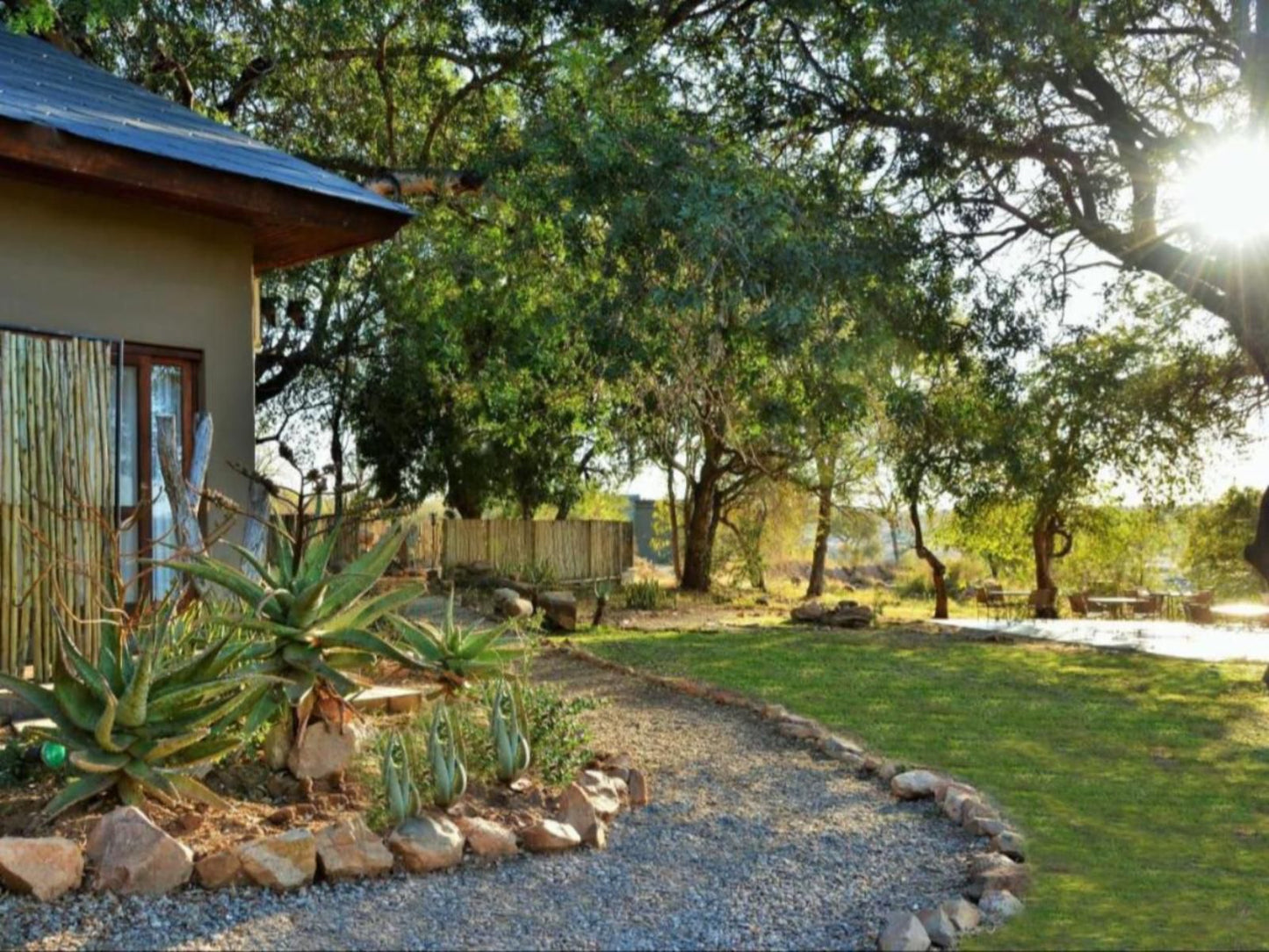 Mjejane River Lodge Mjejane Private Game Reserve Mpumalanga South Africa Plant, Nature, Garden