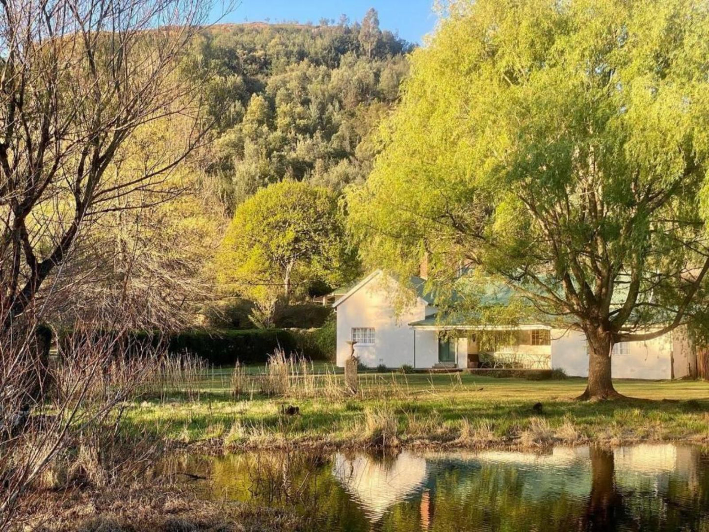 Mkomazana Mountain Cottages Himeville Kwazulu Natal South Africa River, Nature, Waters