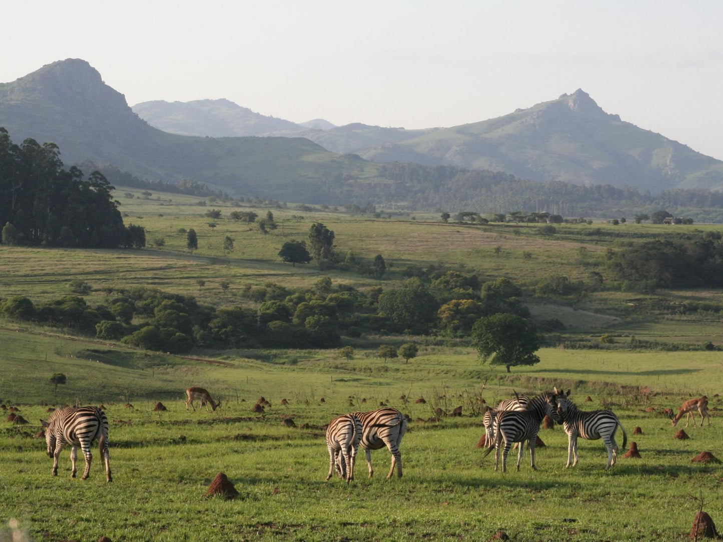 Mlilwane Game Sanctuary